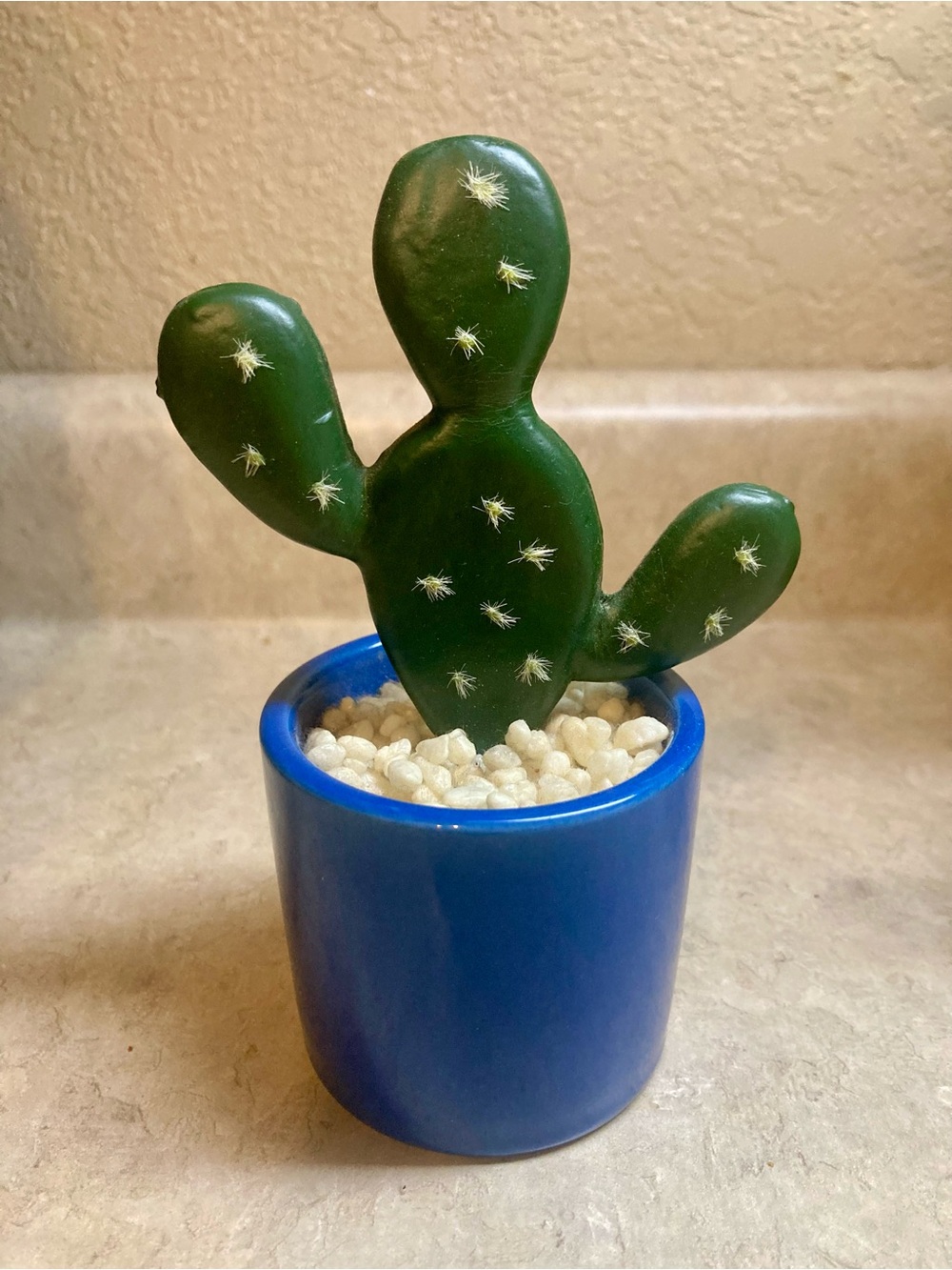 Target Bullseye Playground 🌵 Cactus Ceramic Desert Decor